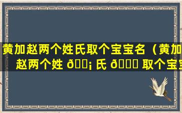 黄加赵两个姓氏取个宝宝名（黄加赵两个姓 🐡 氏 🐕 取个宝宝名字怎么取）